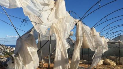 Tarım sigortaları kapsamında ekimde üreticilere 11,6 milyar lira hasar tazminatı ödendi