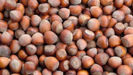 Fındık ihracatı 500 milyon doları aştı!