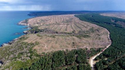 Türkiye'nin büyük sorununu çözecek 2 tesis! Kanada ile imzalar atıldı
