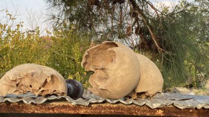 Tüyler ürperten olay! Gerçek ortaya çıktı