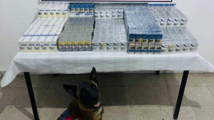 Van'da 3 bin 75 paket kaçak sigara ele geçirildi