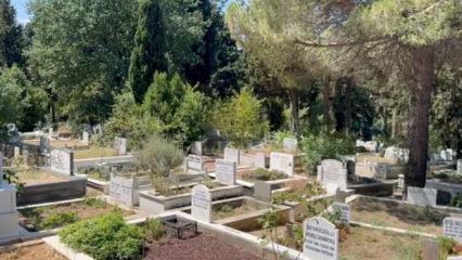 Vedadan öte - Sürgün yerinde bir baba