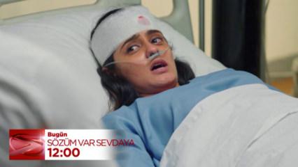 Virat ve Sai arasında fırtına kopuyor!