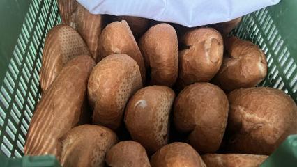 Ekmeğin fiyatını duyan kuyruğa koştu!