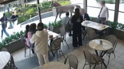 Başıboş at insanları kovaladı! Ümraniye'de bir garip olay