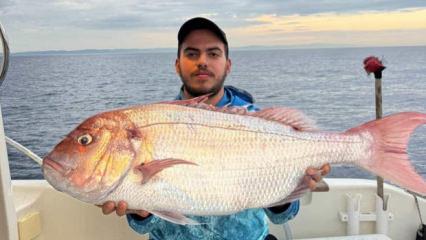 Çanakkale'de balıkçıların ağına 12 kilogramlık mercan takıldı