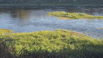  Canbolu Deresi’nde acı oyun: 10 yaşındaki Hızır Ali hayatını kaybetti