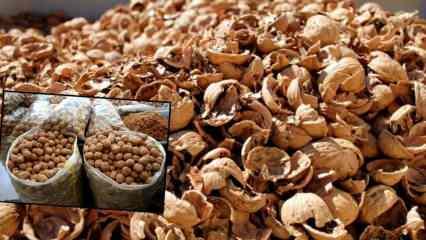 Ceviz kabuklarını sakın çöpe atmayın! Sağlığa olan faydaları şoke etti