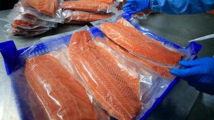 Doğu Karadeniz'in 10 aylık Türk somonu ihracatı 152 milyon doları aştı