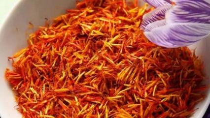 Dünyanın en pahalı baharatı! Adana'da hasat edildi Gramı tam 600 TL