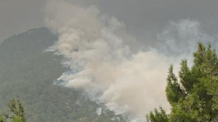 Hatay'da iki ayrı noktada çıkan yangın kontrol altına alındı