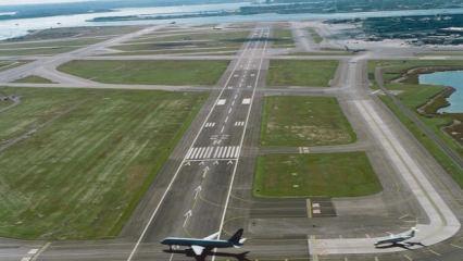 Havalimanında ayı krizi! Japonya'da uçuşlar durduruldu