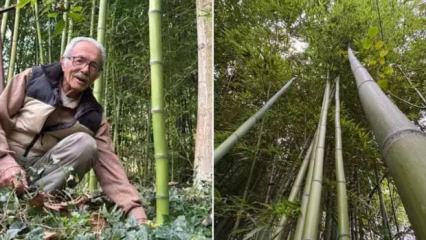 Hobi olarak başladı, 500 bin TL kazandı!