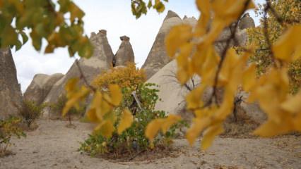 Mevsimin doğaya yansıması: Kapadokya’ya renk kattı!