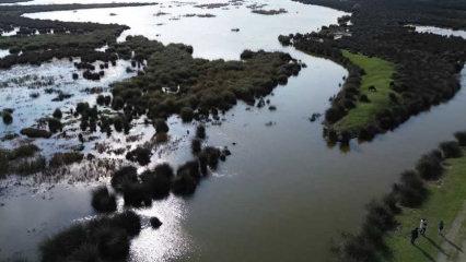 Ne Afrika ne de Dubai: Foto safari yapacaklar buraya!