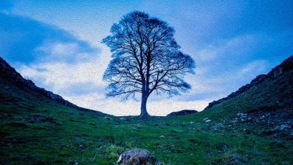 Olmak ve Yapmak Üzerine