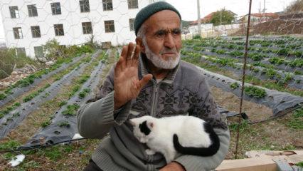 Bahçesindeki ürünleri hibe eden İbrahim dede: "Hepsinin hayır duasını almak bana yetiyor"