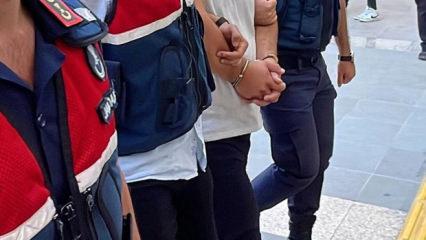 Siverek'te çok sayıda silah ele geçirildi