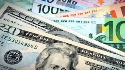 Türkiye'nin döviz zengini illeri belli oldu! İşte o liste