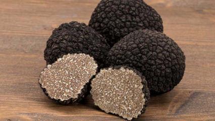 Vücudunuzu kanserden ve enfeksiyonlardan koruyor! İltihabı önlüyor