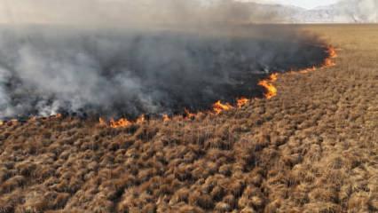 Nehil Sazlığı'ndaki yangın 4 gün sonra söndürüldü