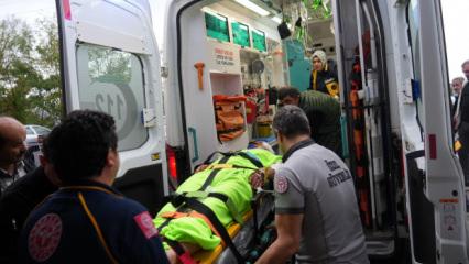 Yer: Kastamonu! İmam ayı saldırısına uğradı