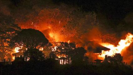 Japonya'da facia! Bir mahalle yangında kül oldu