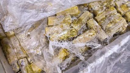 2 ton bozuk gıda ele geçirildi: Hepsini vatandaşa yedireceklerdi