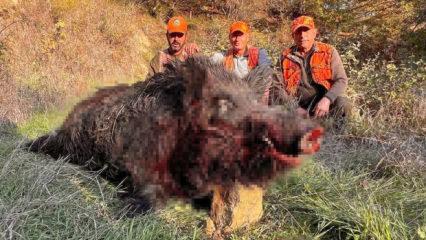 Tekirdağ'da avcıları şaşırtan av: Kilosuna inanamadılar! 