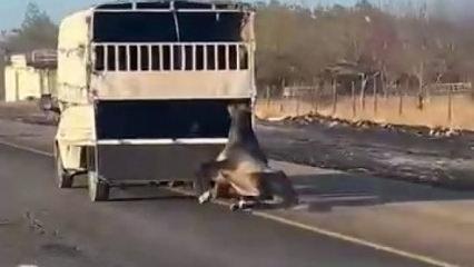 Görüntüler infial yaratmıştı, o görüntü cezasız kalmadı