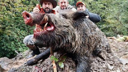 Trabzon'da avladılar! Cüsseleri korkutucu büyüklükte