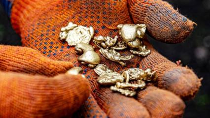 ABD'de yeni keşif: Yüksek kalite altın rezervi bulundu!