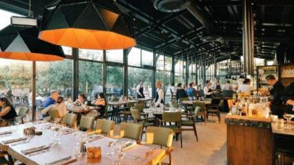 Aile işletmesi tuzağının sır perdesi: Türkiye'nin en güzel yerlerini böyle yağmalıyorlar