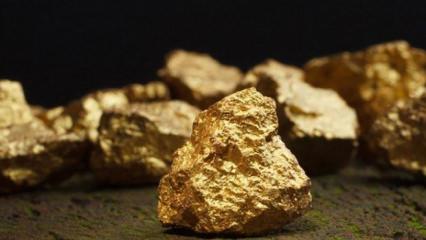 Altın fiyatları ABD verilerini bekliyor! Yarın belli olacak...