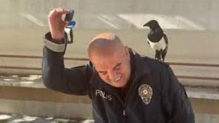 Ankara’da polis ile saksağanın güldüren dostluğu