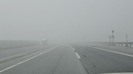 Bitlis'te yoğun sis etkili oldu: Görüş mesafesi sıfıra düştü