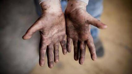 Çocuk işçiliğinde sıfır tolerans: Türkiye’den yeni nesil mücadele modeli