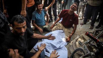 Dile kolay; 19 bin öğrenci! Gazze'deki soykırımına bir de buradan bakın! 