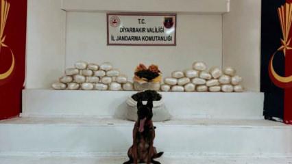Diyarbakır'da uyuşturucu operasyonu: 25 şüpheli yakalandı
