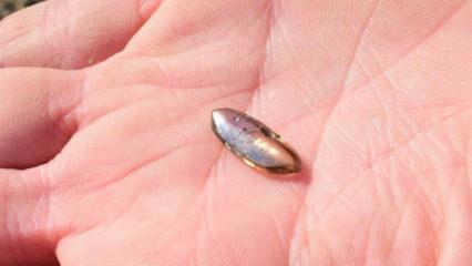 Doğum günü gezisi hazineye dönüştü!