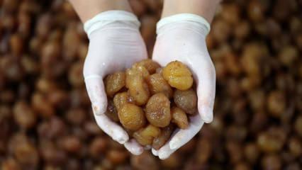 İpsala pirinci ve Bursa kestane şekeri AB tescili aldı!