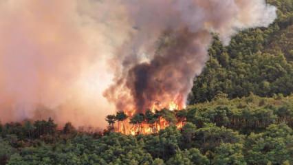 İran, Türkiye'den yardım istedi: Yanıt geldi