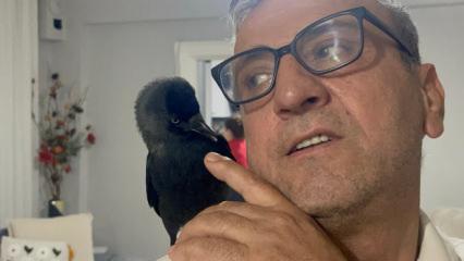 Kızının otomobiline konarak eve gelen kargayı sahiplendi