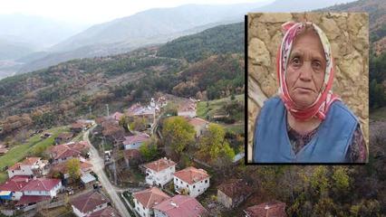 Mantar toplamaya giden yaşlı kadın ormanda ölü bulundu