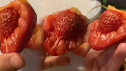 Marketten domates diye aldı evde çilek çıktı: Görünce şoka uğradı