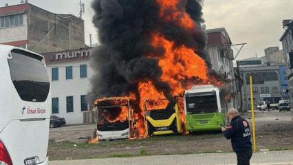 Park halindeki otobüsler cayır cayır yandı