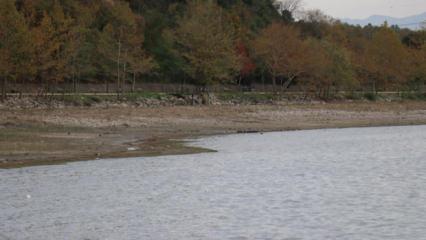 Sapanca G&ouml;l&uuml;'nde esrarengiz g&ouml;r&uuml;nt&uuml;