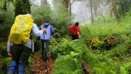 Şili'de doğa yürüyüşü yapan 5 turist fırtınada öldü, 7 kişi aranıyor!