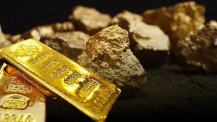 'Son büyük altın rezervleri’ için geri sayım başladı! Türkiye'nin gizli altın potansiyeli