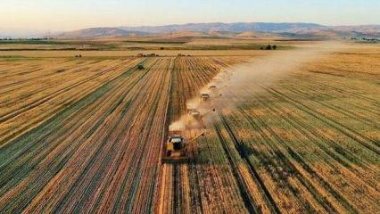 Tarım ÜFE ekimde arttı